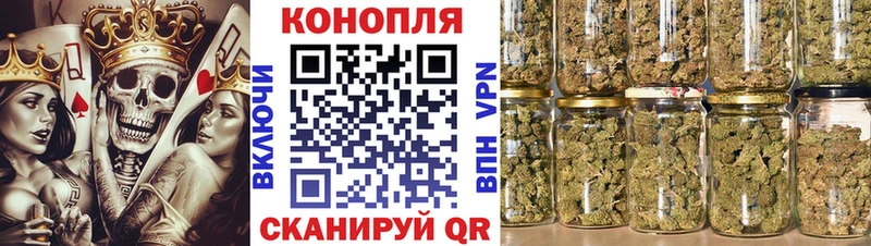 shop какой сайт  кракен ONION  Камбарка  Конопля SATIVA & INDICA 